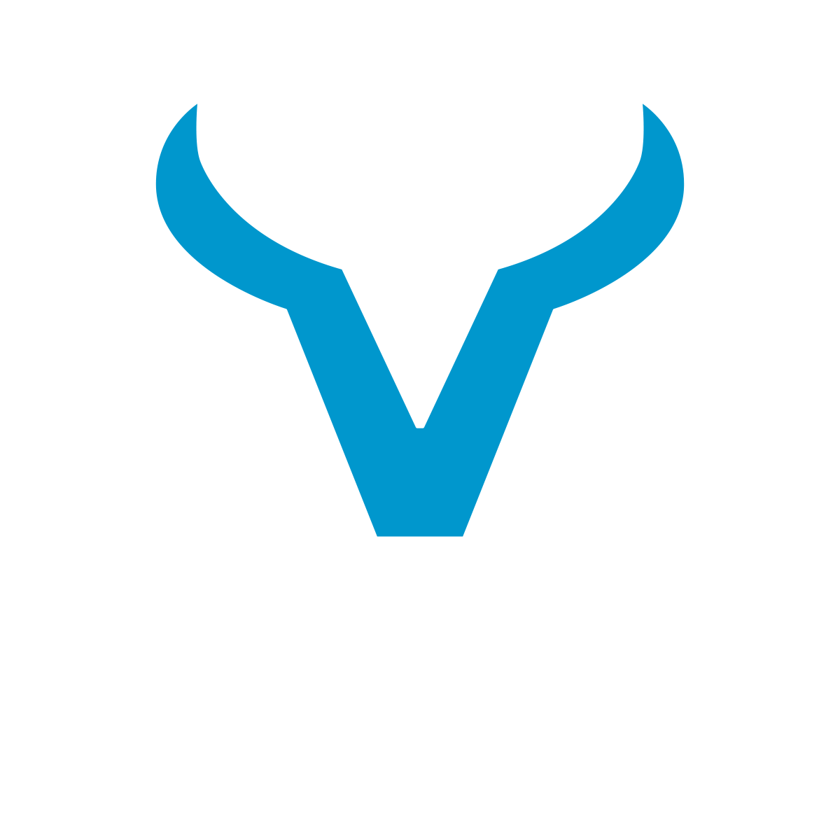 VEXIL BRAND